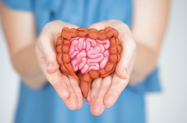 https://www.osfhealthcare.org/blog/why-is-gut-health-important/
