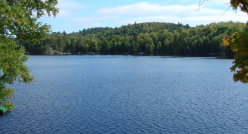 Winchester Rowers Bring Home the Hardware in Ontario