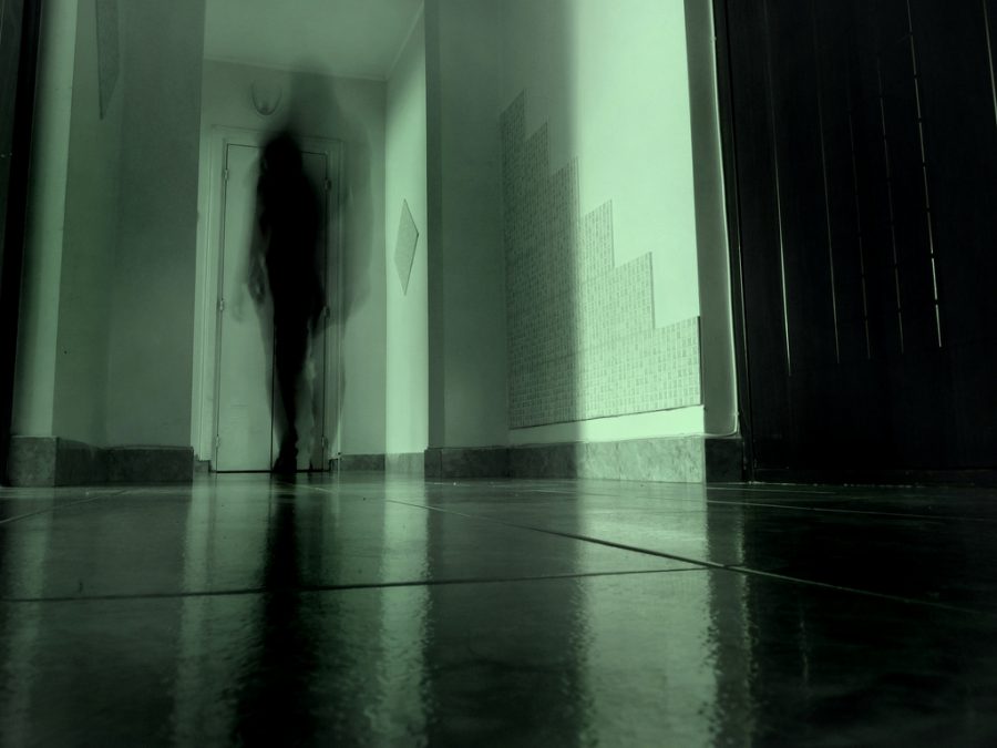 The Ghost of Ernest Garcia