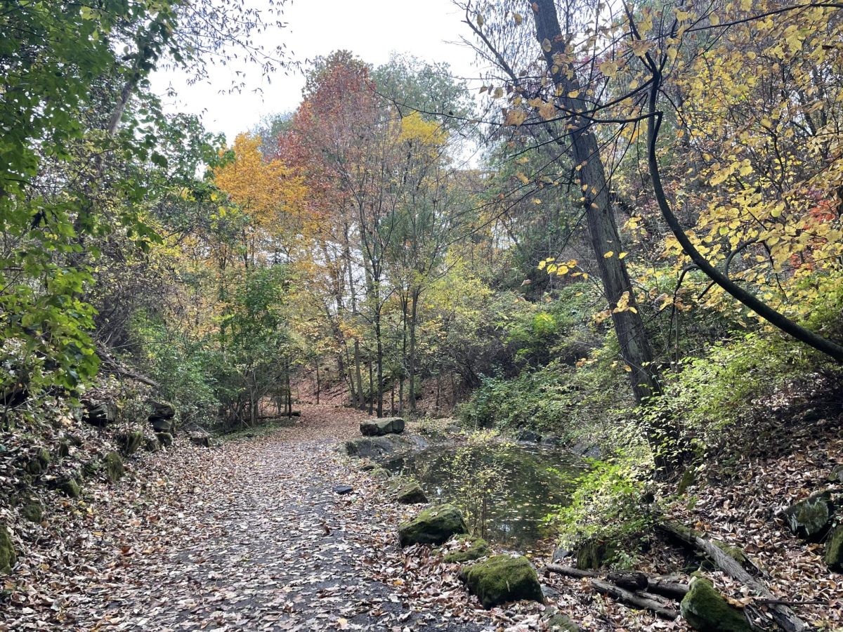 Schenley Park Romanticized