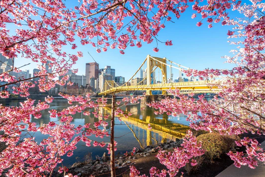 How to Spend Your Spring Break Staycation