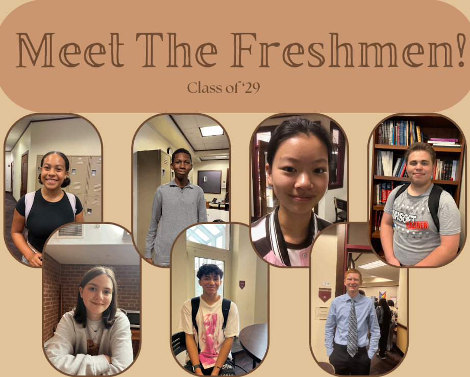 Meet the Freshmen