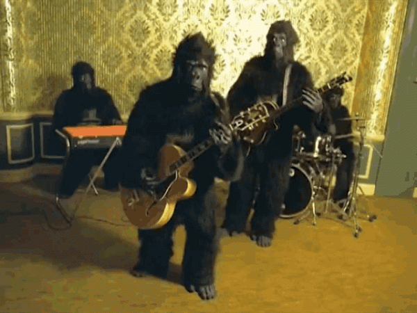 Wait, Gorillas Make Music?