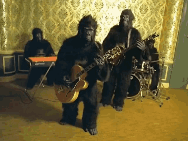 Wait, Gorillas Make Music?